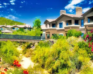Desert Arroyo Phoenix